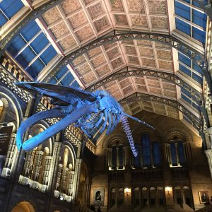 natural history museum london