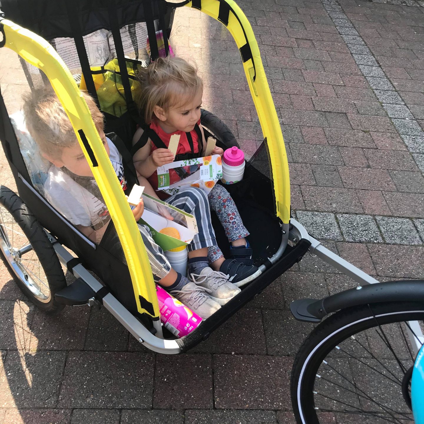 halfords double child bike trailer
